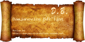 Damjanovics Bálint névjegykártya